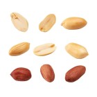 Nuts and very healthy snacks that contains highly nutritious vitamins.